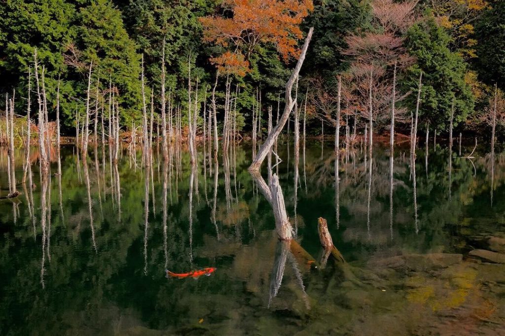 ーの俣桜公園