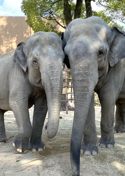 周南市徳山動物園