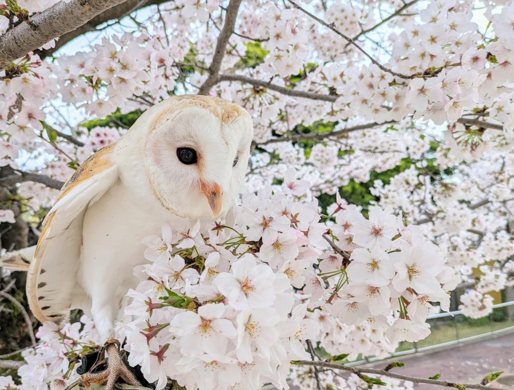 周南市徳山動物園