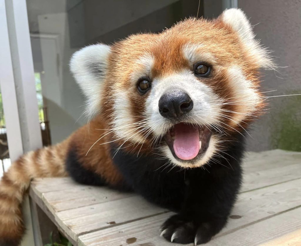 周南市徳山動物園