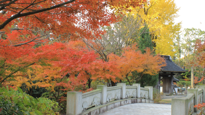 東大寺別院阿弥陀寺