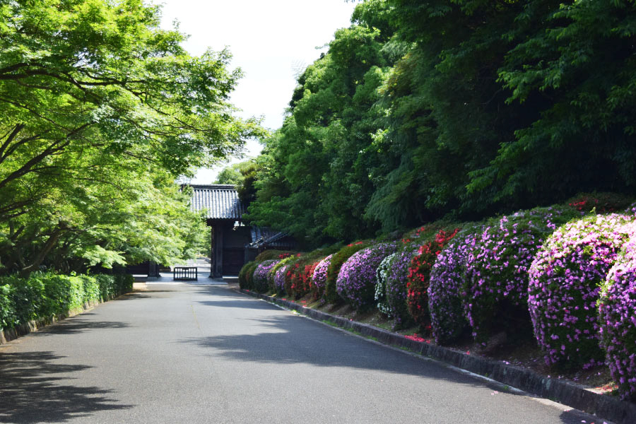 毛利博物館・毛利氏庭園