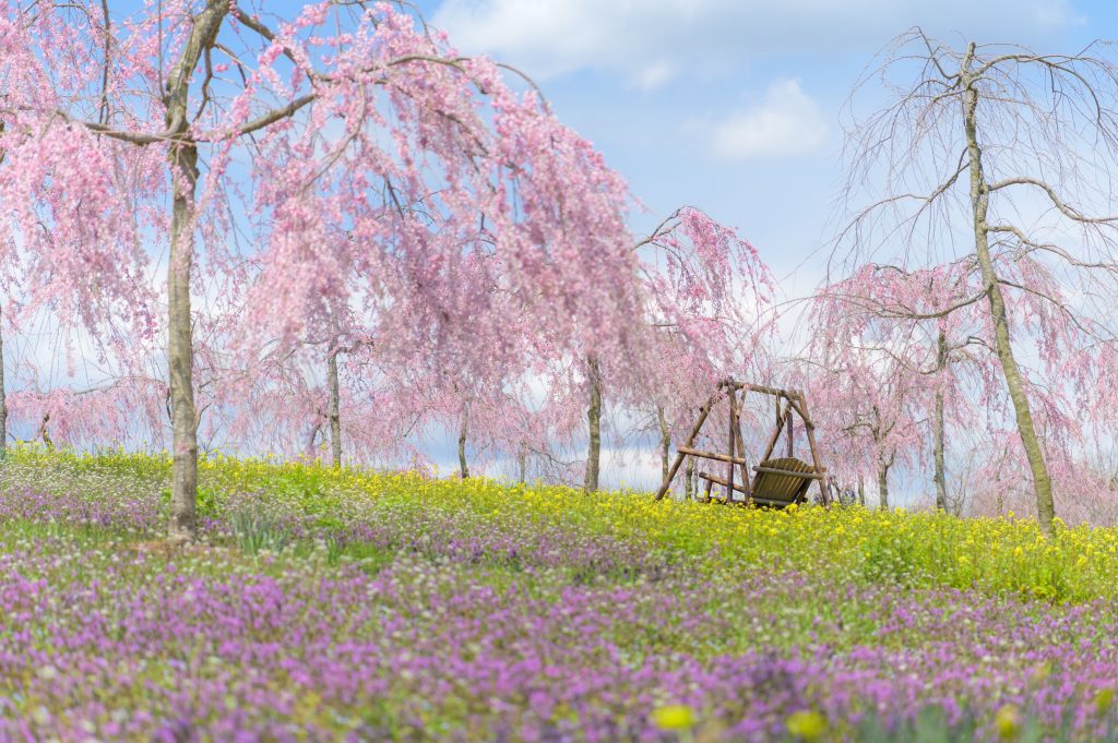 世羅高原農場