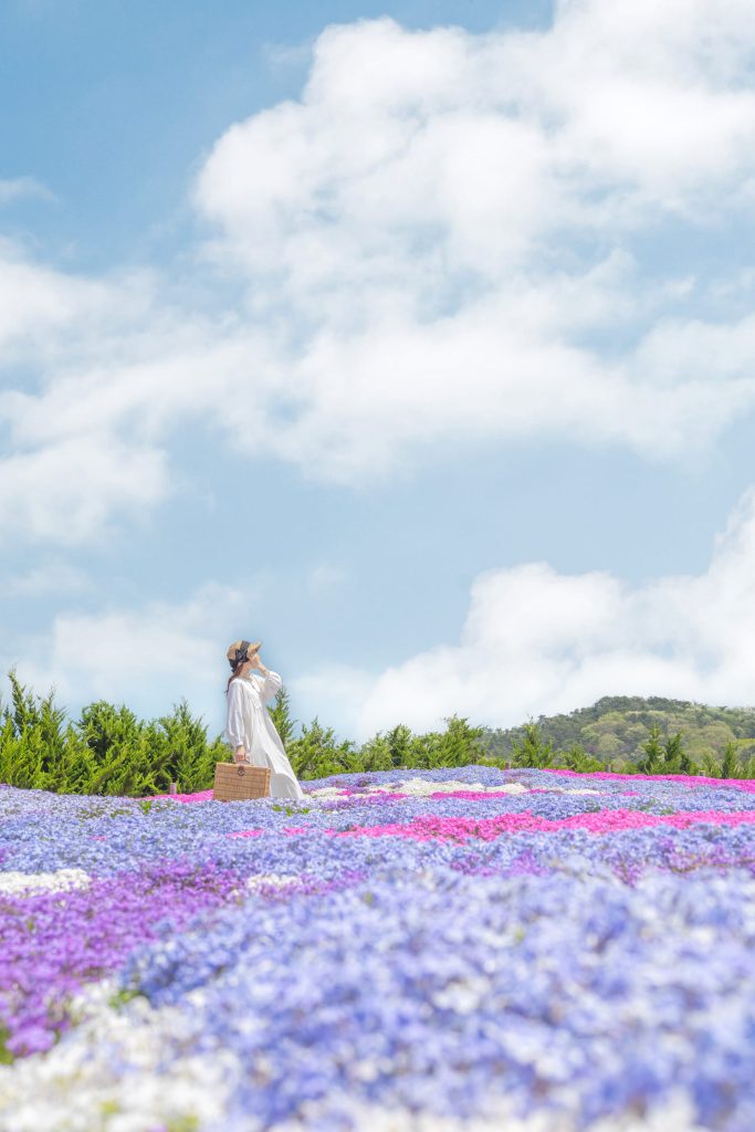 Flower village 花夢の里