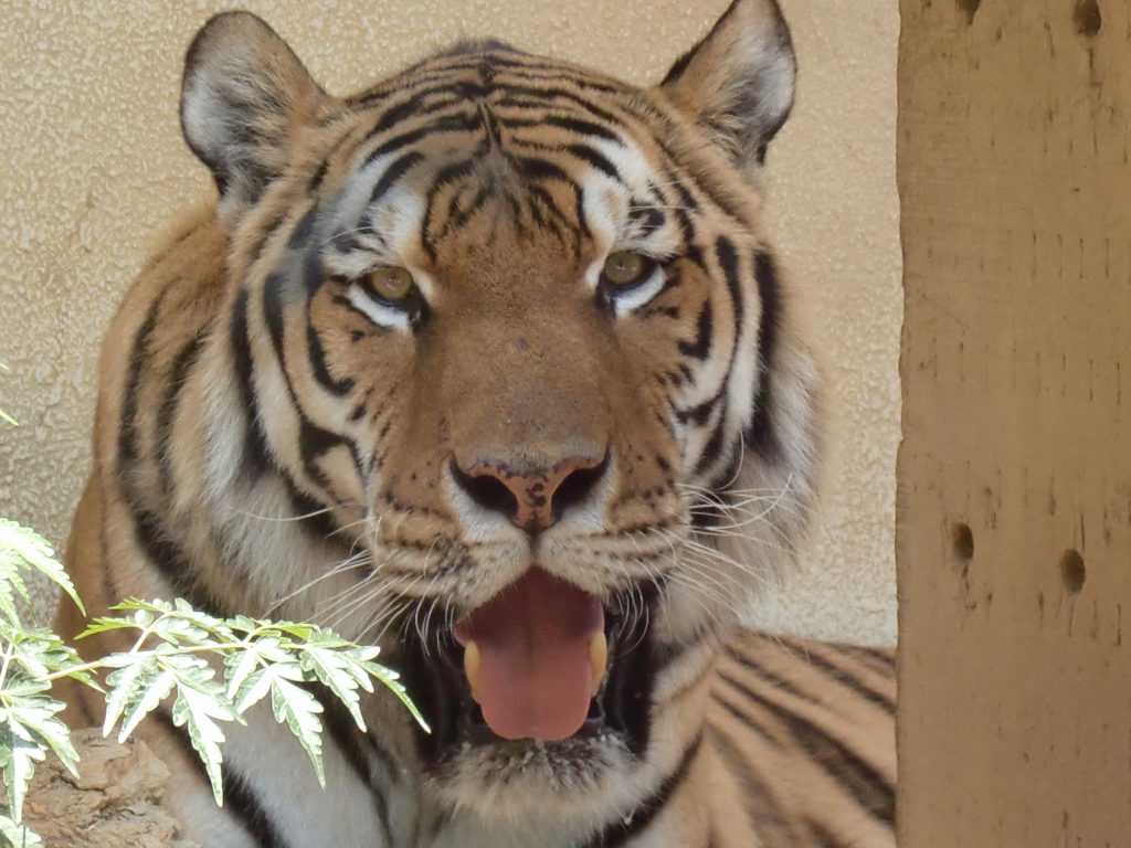 安佐動物公園